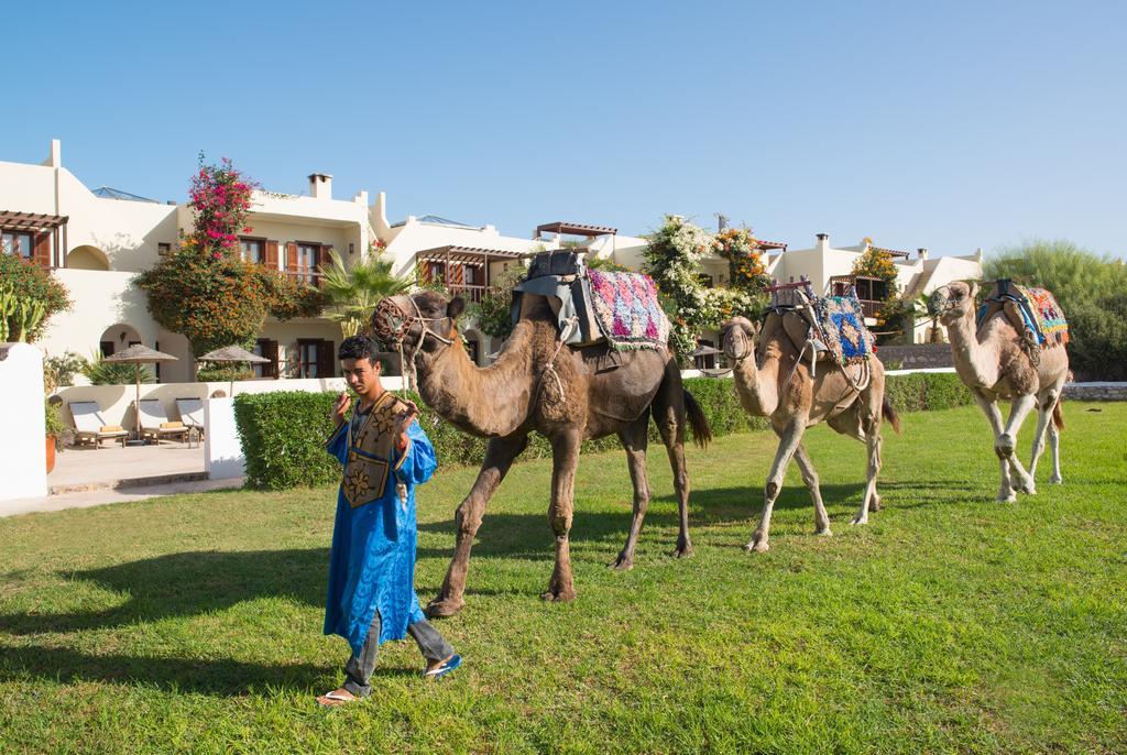 Rebali Riads Sidi Kaouki Buitenkant foto
